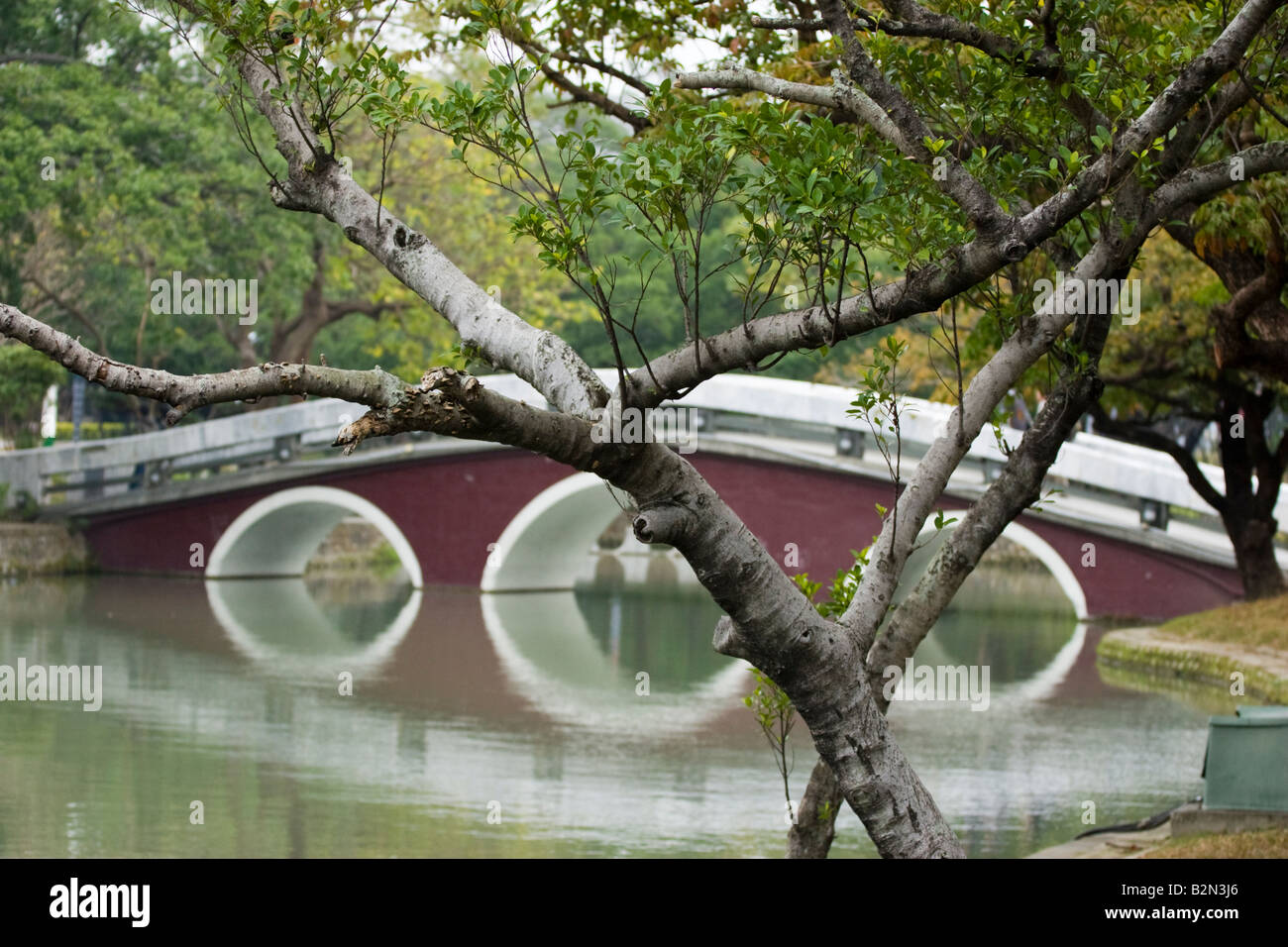 Pedonale curvo ponte pedonale che si riflette nel lago dietro i rami degli alberi, Taichung Park, Taichung Taiwan ROC Foto Stock