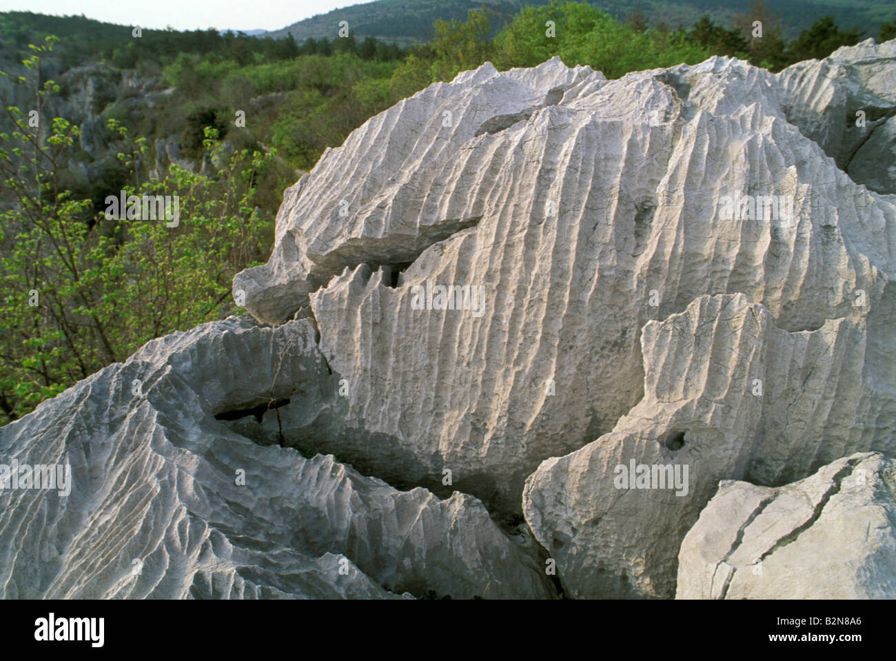 Erosione calcarea, Duino, Italia Foto Stock