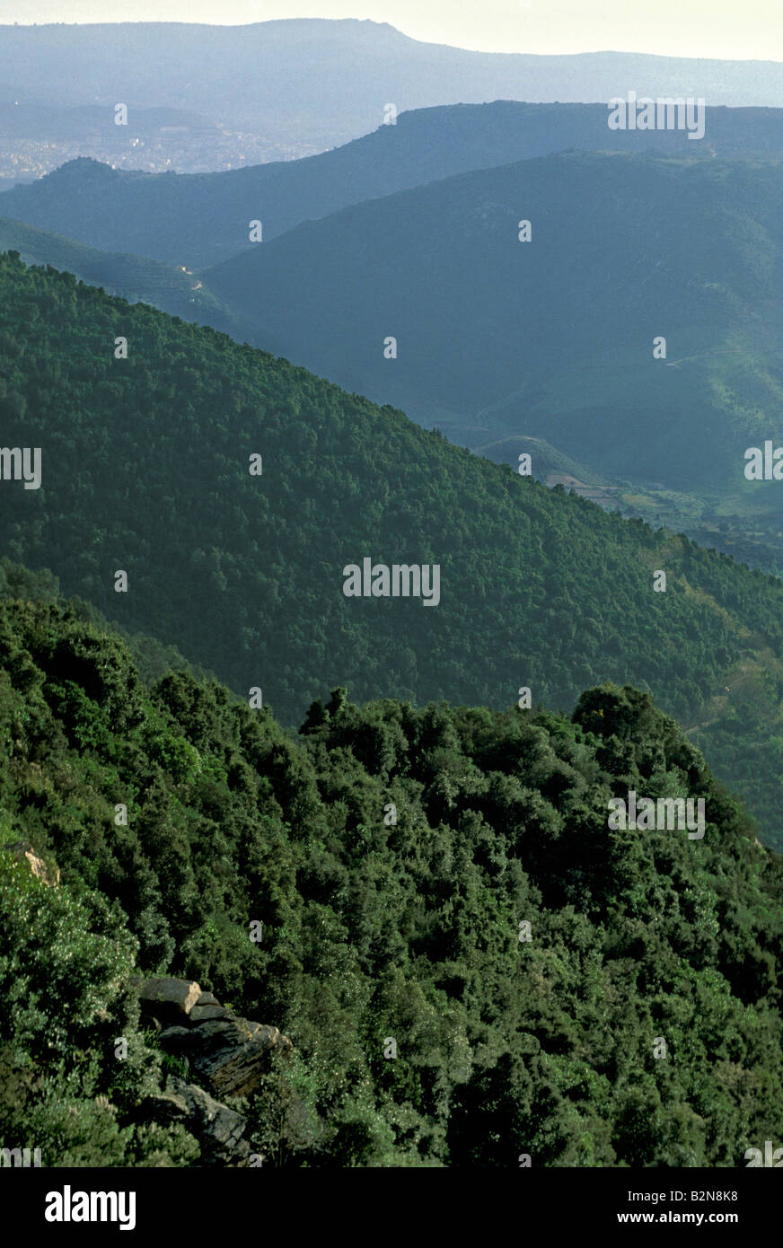 Vista dalla cima del Supramonte mountain, supramonte, Italia Foto Stock