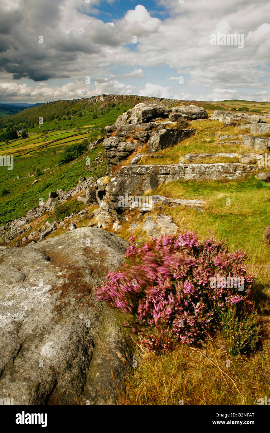Bordo Cubar da Baslow bordo,con primo piano Heather, il parco nazionale di Peak District, Derbyshire. Foto Stock