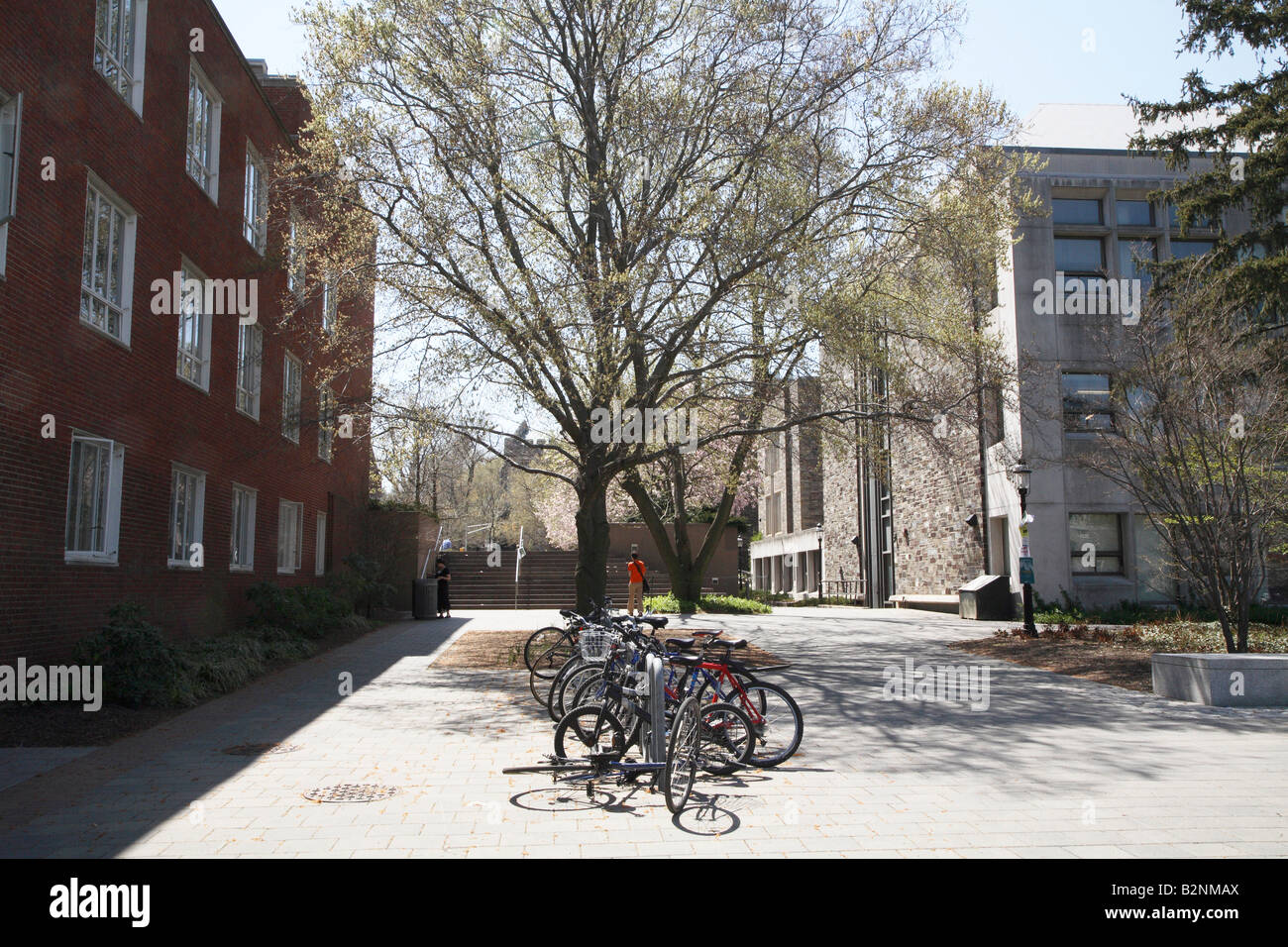 Ampia con mattoni bianchi passerella tra la Firestone Libreria sulla destra e Dickinson Hall sulla sinistra. Foto Stock