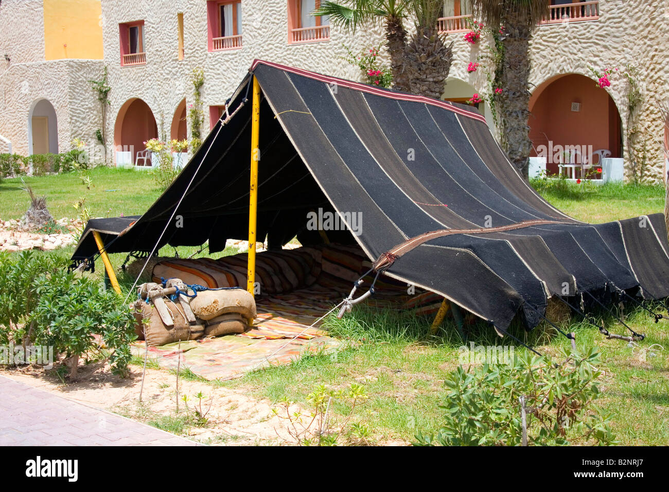 In tenda berbera in tradizionale stile. La Tunisia, Africa Foto stock -  Alamy