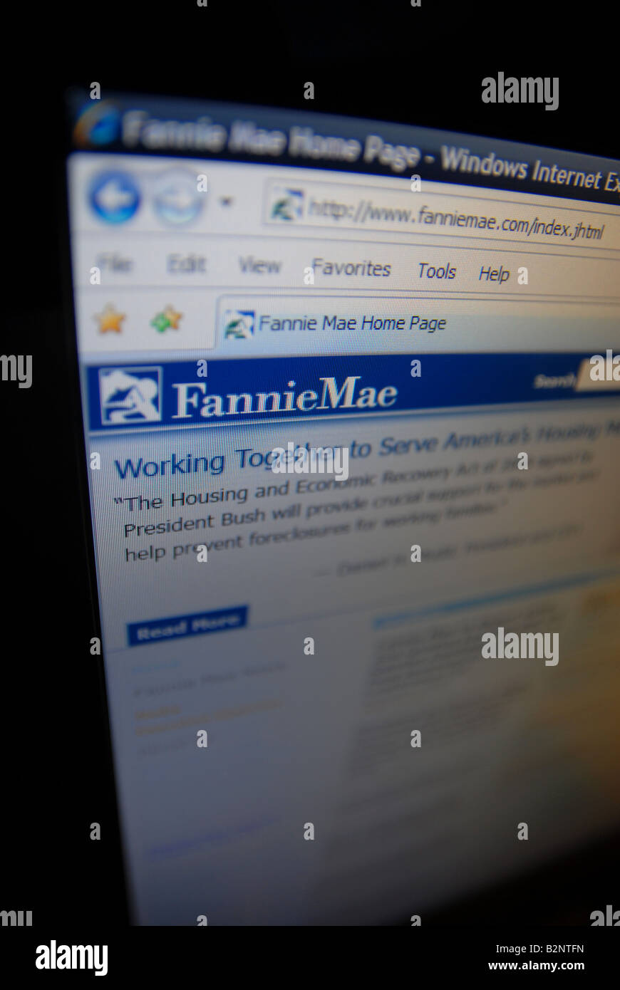 Fannie Mae sito web ufficiale, creative focus Foto Stock