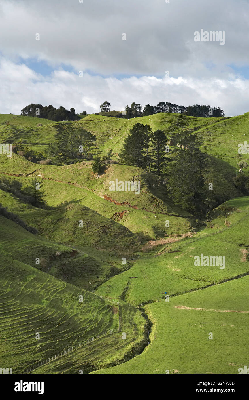 Terreni agricoli vicino a Inglewood Taranaki Isola del nord della Nuova Zelanda Foto Stock