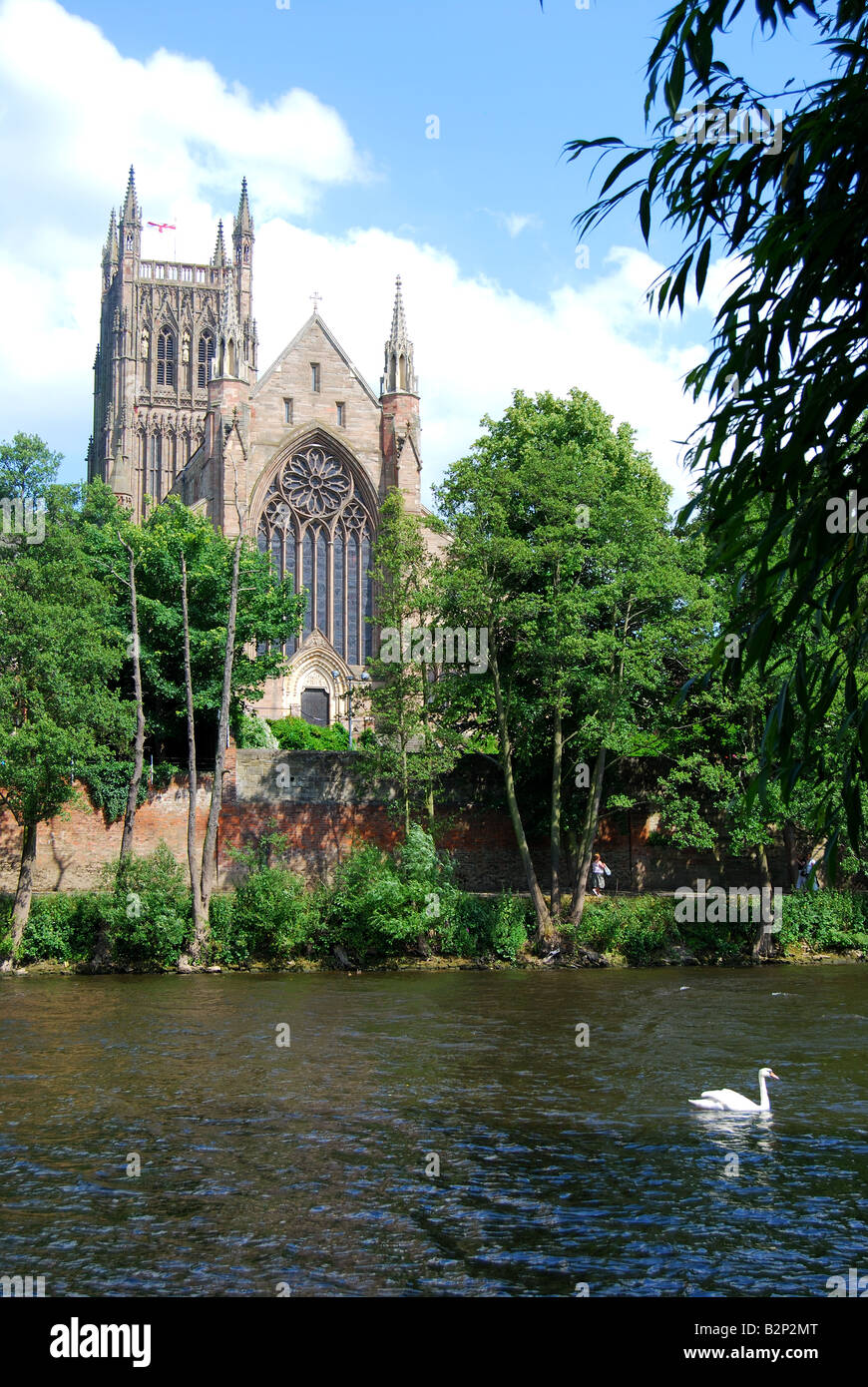 Cattedrale di Worcester sul fiume Severn, Worcester, Worcestershire, England, Regno Unito Foto Stock