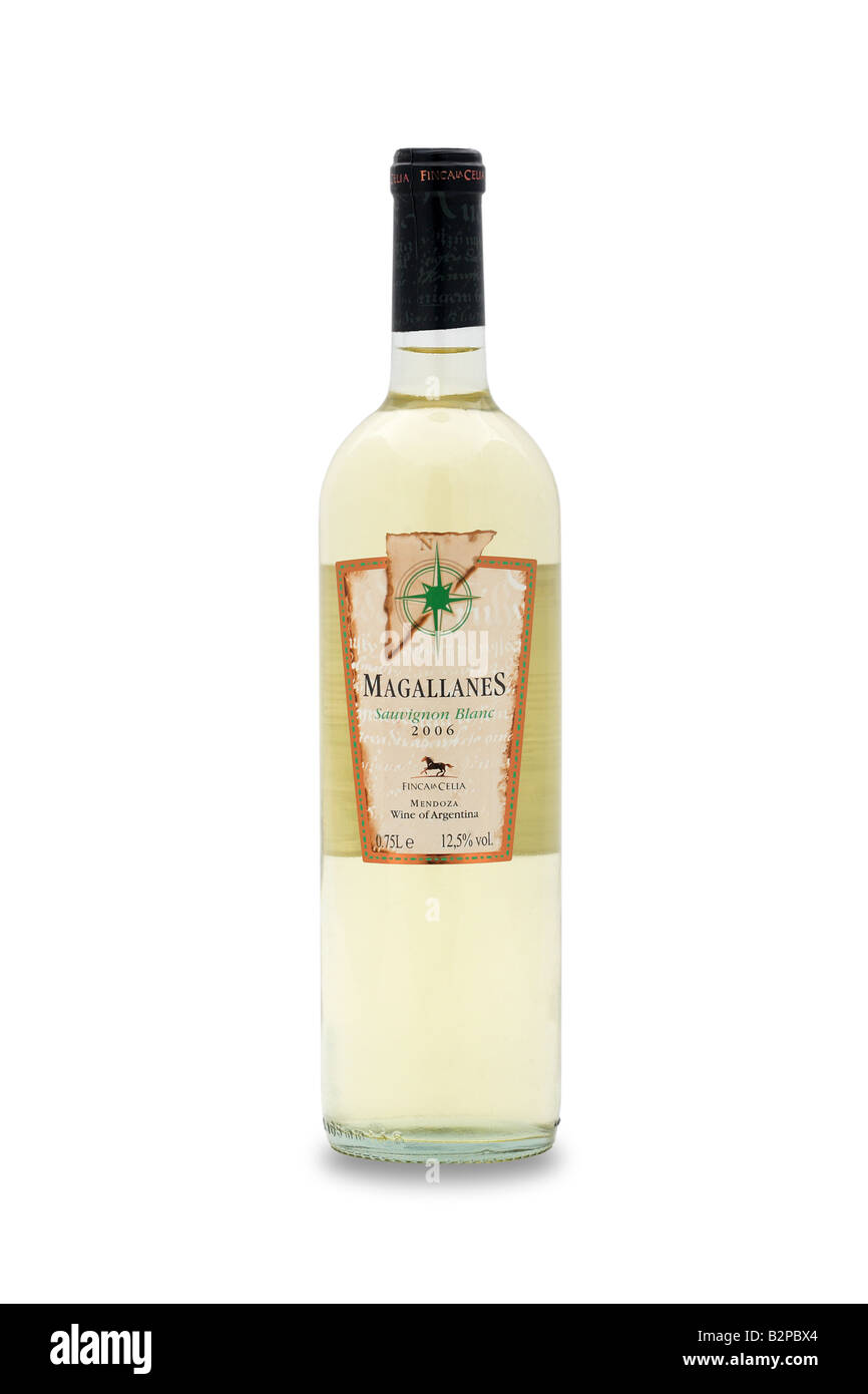 Magallanes Sauvignon Blanc 2006 vino argentina Foto Stock