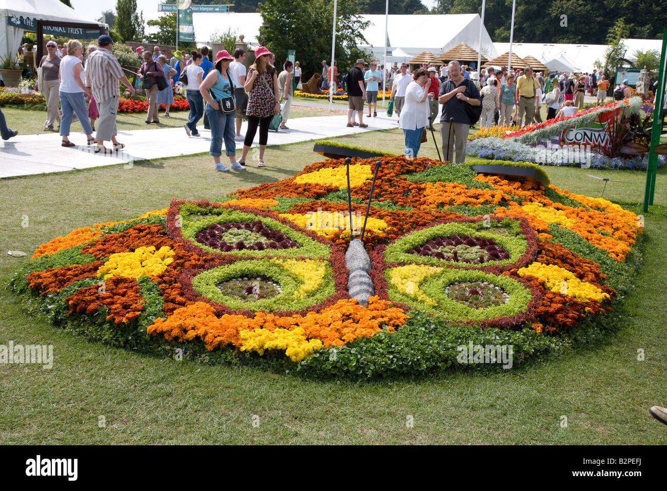 RHS Flower Show a Tatton Park 2008 - letto di fiori - butterfly Foto Stock