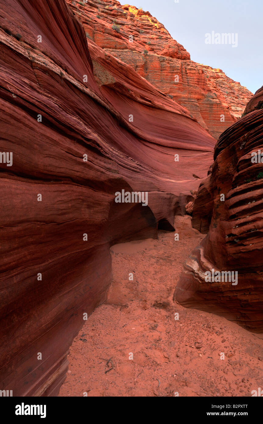 Paesaggio dell'Arizona Foto Stock