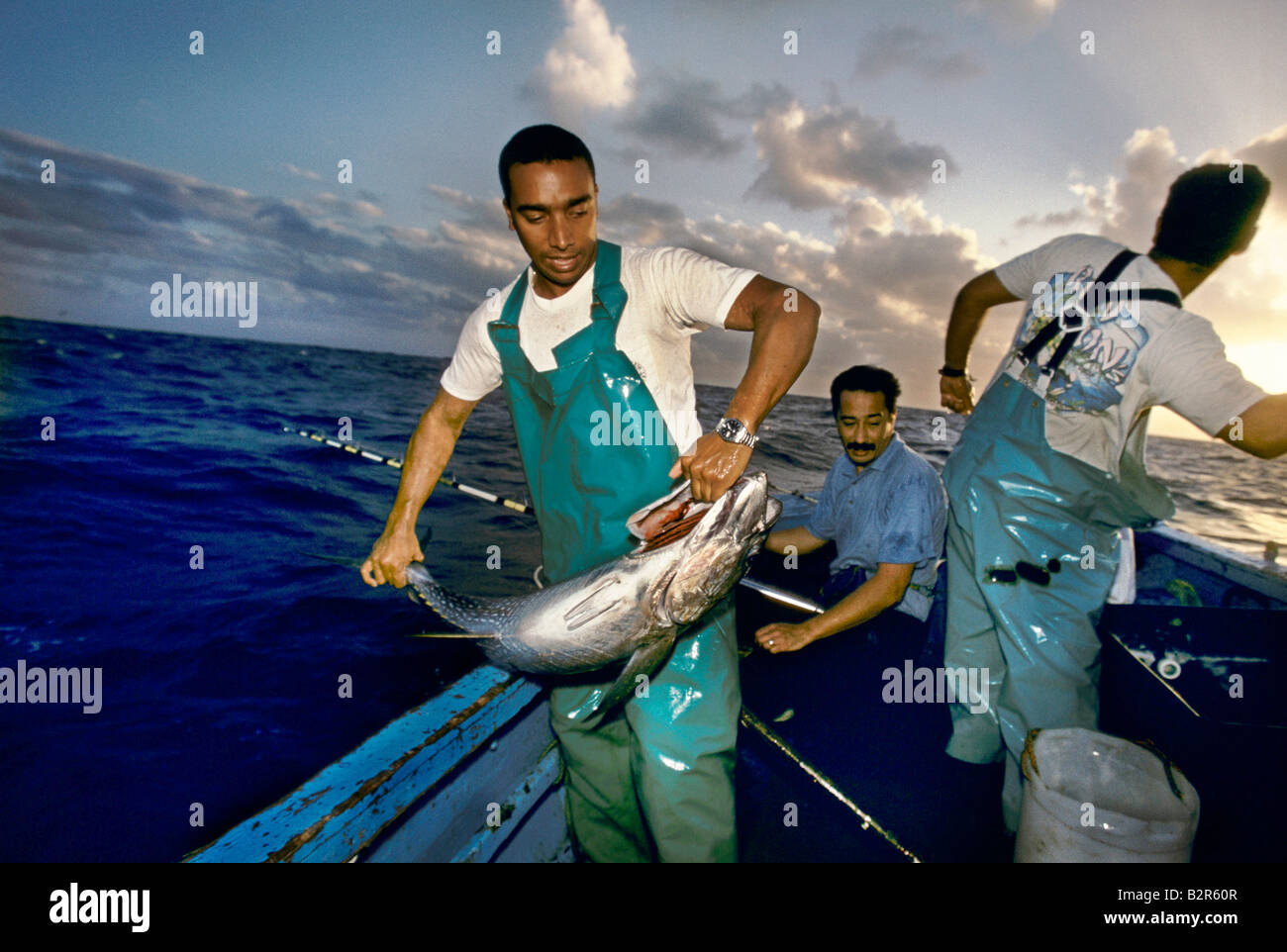 Isola di Ascensione David Vincent Cassel la pesca del tonno Foto Stock