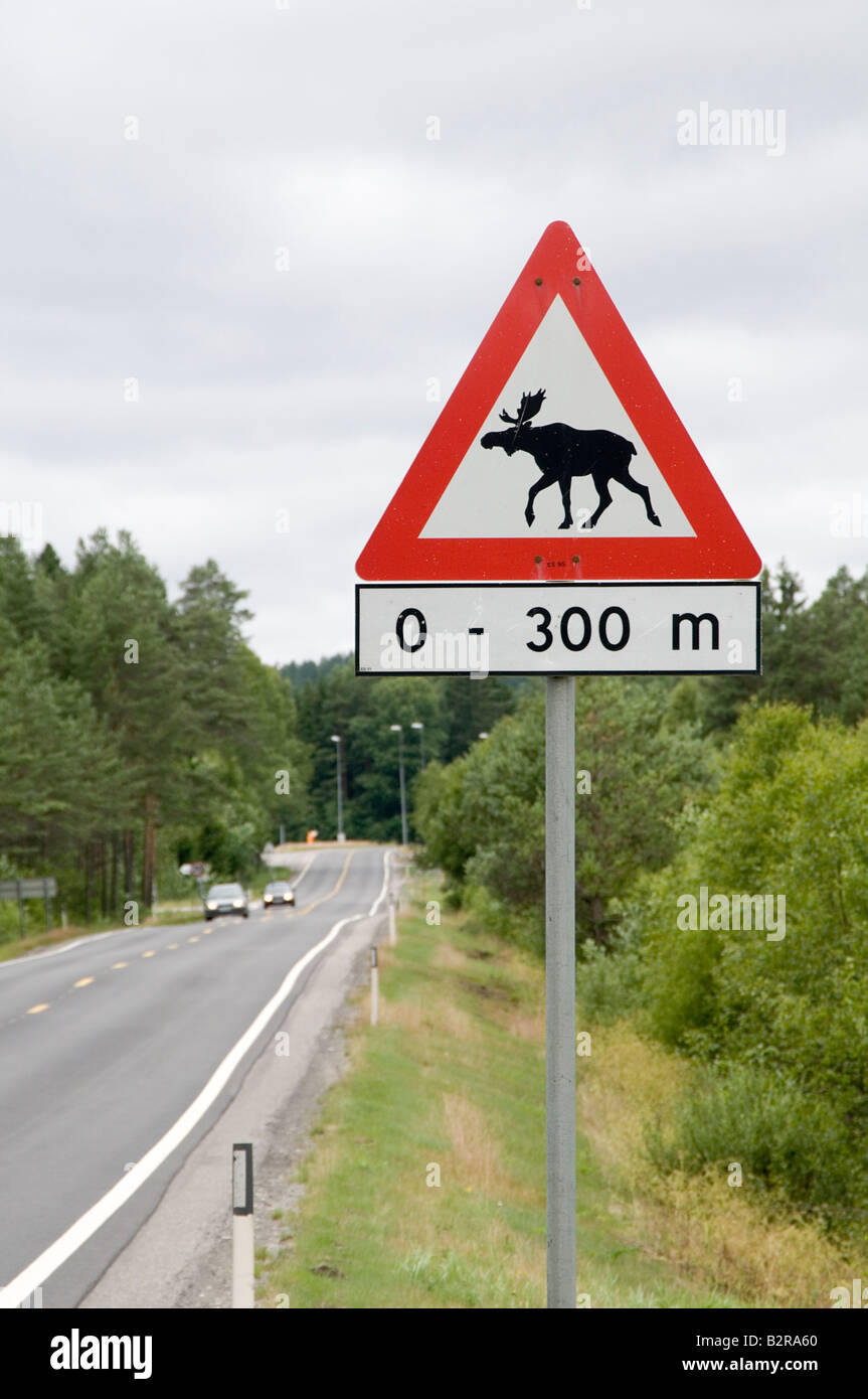 Moose cartello stradale Norvegia Norvegia pericolo degli animali Foto Stock