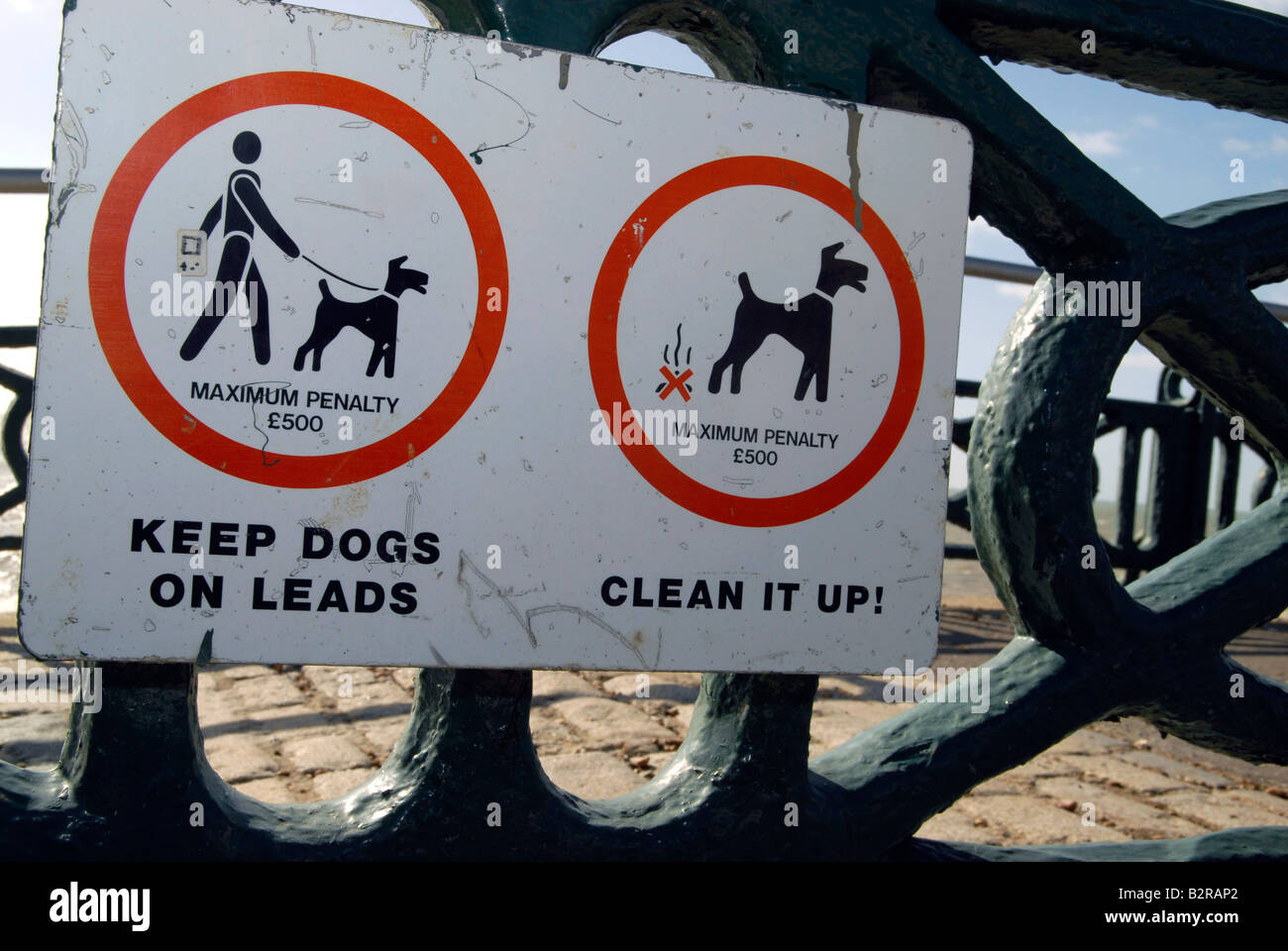 Indicazioni su Brighton Sea Front avvertenza i proprietari di cani per tenere i loro cani sulla loro porta e spiagge off durante una parte dell'anno REGNO UNITO Foto Stock