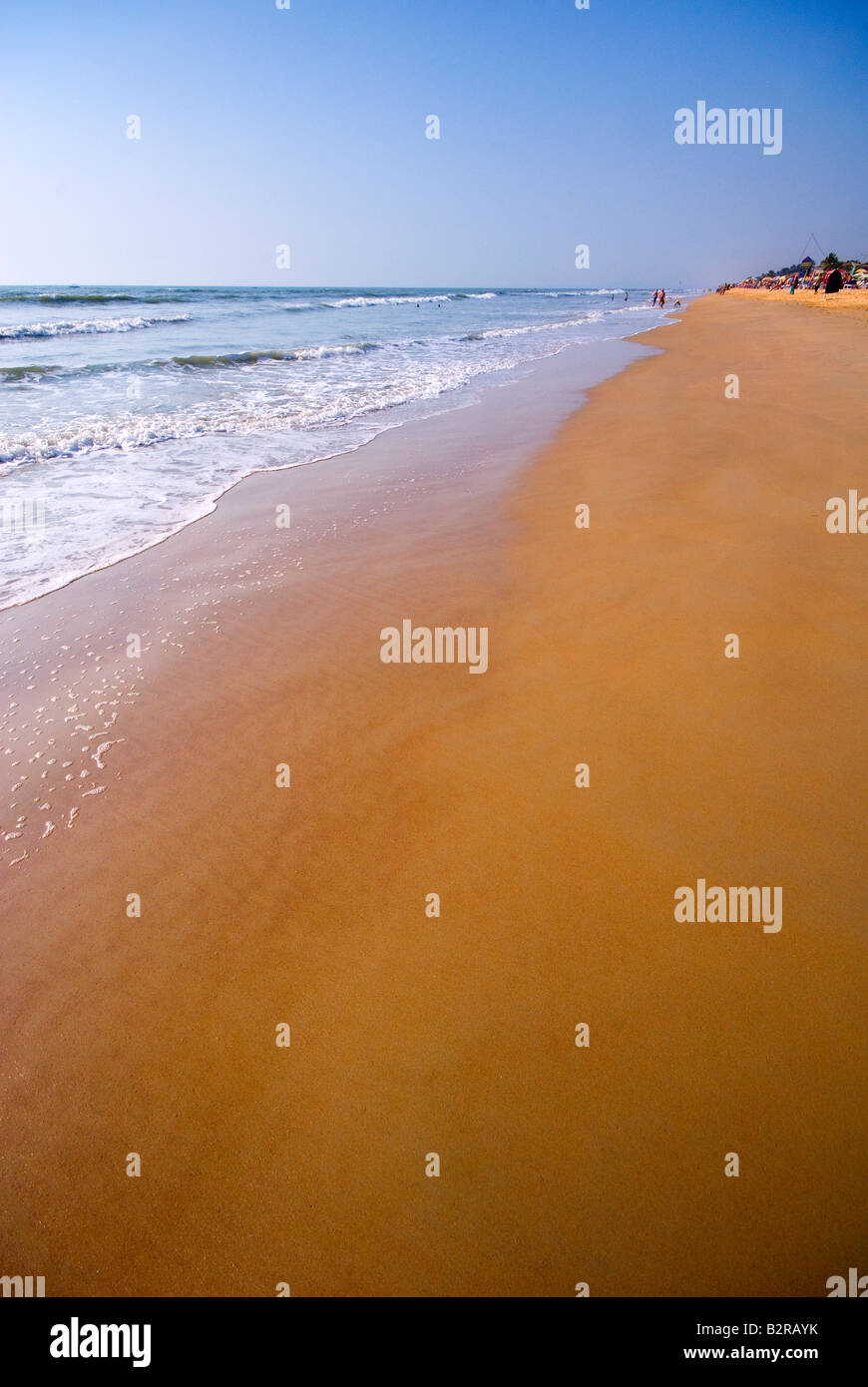 Benaulim Beach, Goa, India, subcontinente, Asia Foto Stock