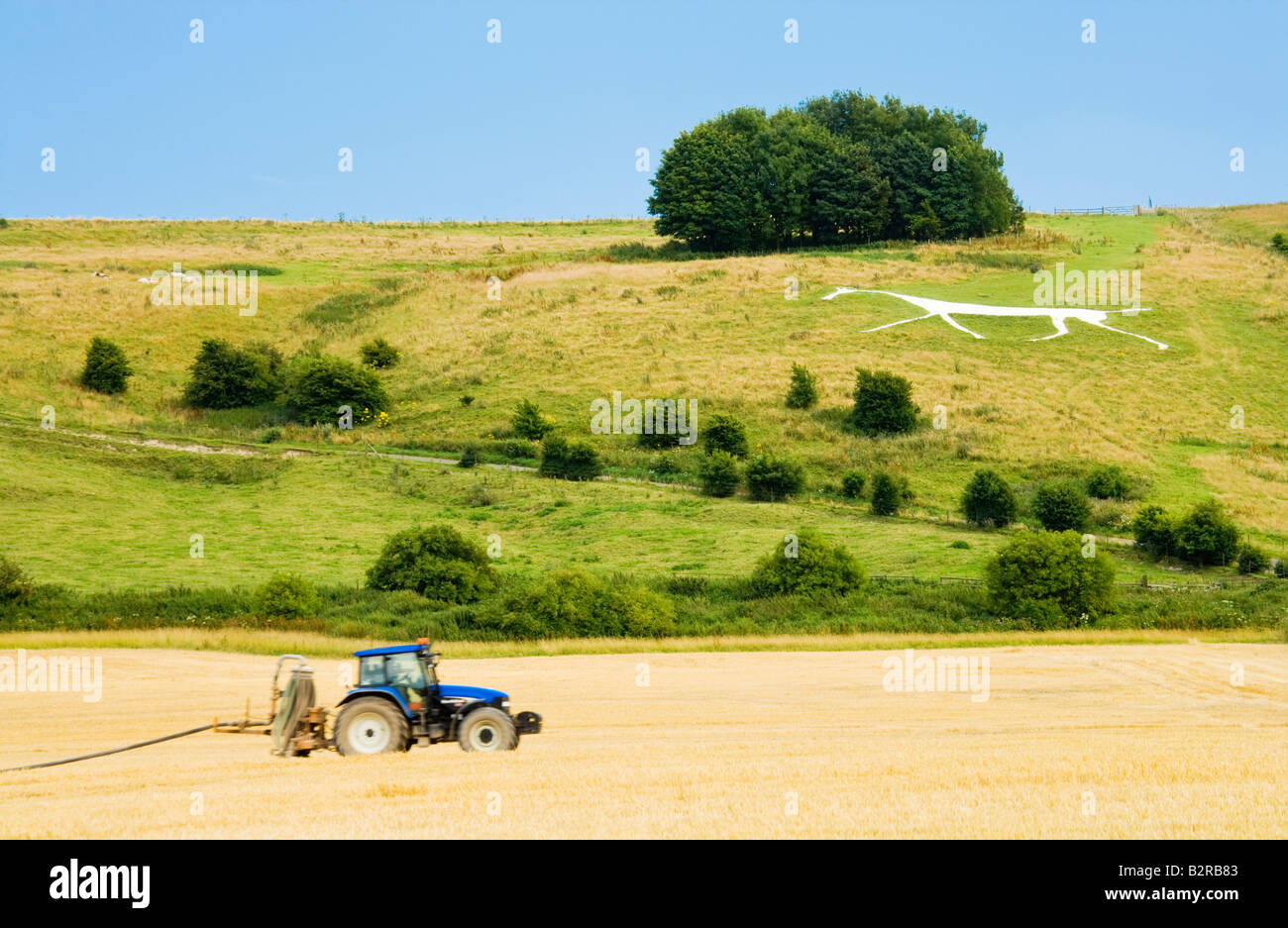Tipico paesaggio Wiltshire scena in estate con il trattore e Hackpen White Horse chalk figura, England, Regno Unito Foto Stock
