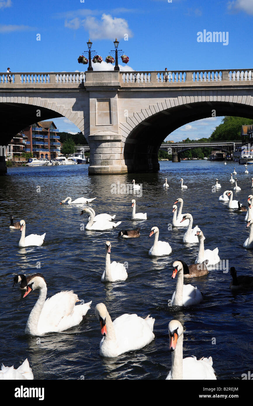 Il fiume Tamigi Kingston upon Thames Bridge Surrey in Inghilterra Foto Stock