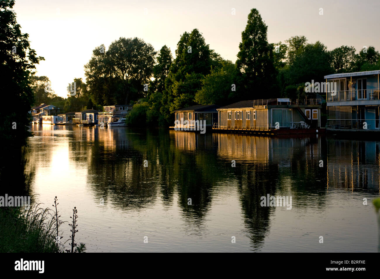 In Europa il Regno Unito Inghilterra surrey houseboat fiume Tamigi Foto Stock