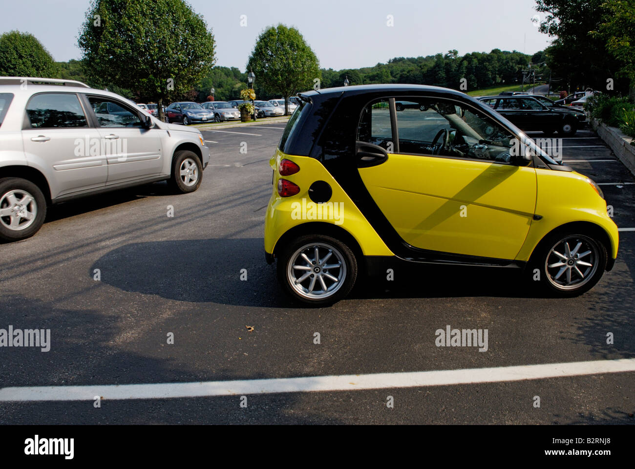 Auto Smart Fortwo - recentemente introdotte negli Stati Uniti Foto Stock