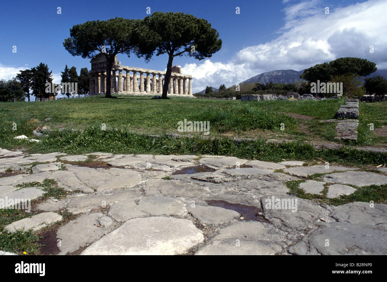 Tempio di Atena, Paestum, Campania, Italia Foto Stock