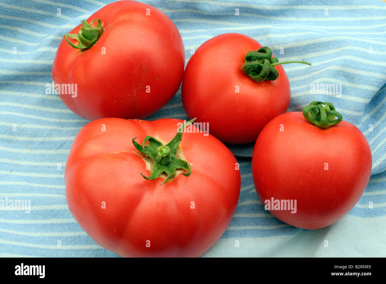 Bistecca di manzo pomodori in senso orario dalla posizione in alto a sinistra la leggenda FERLINE CRISTAL AGM SAINT PIERRE Foto Stock