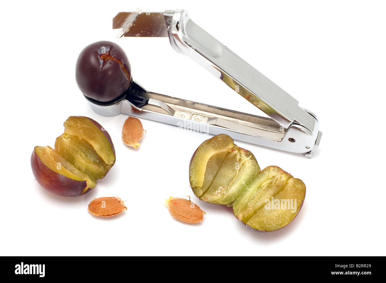 Scopo su bianco arnese da cucina una seminatrice con prugna Foto Stock