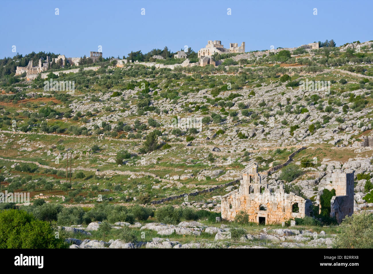 San Simeone rovine e le rovine della cattedrale in corrispondenza di Deir Samaan città morta in Siria Foto Stock