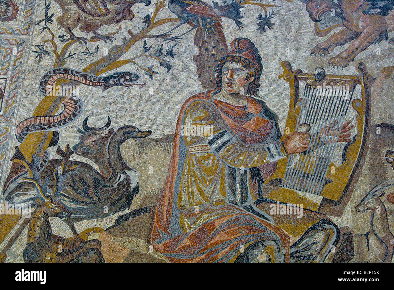 Il mosaico di Orfeo presso il Museo in Shahba Siria Foto Stock