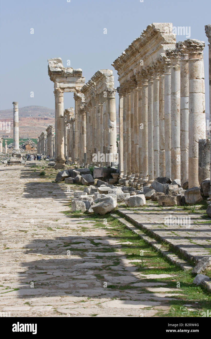 Rovine romane di Apamea in Siria Foto Stock