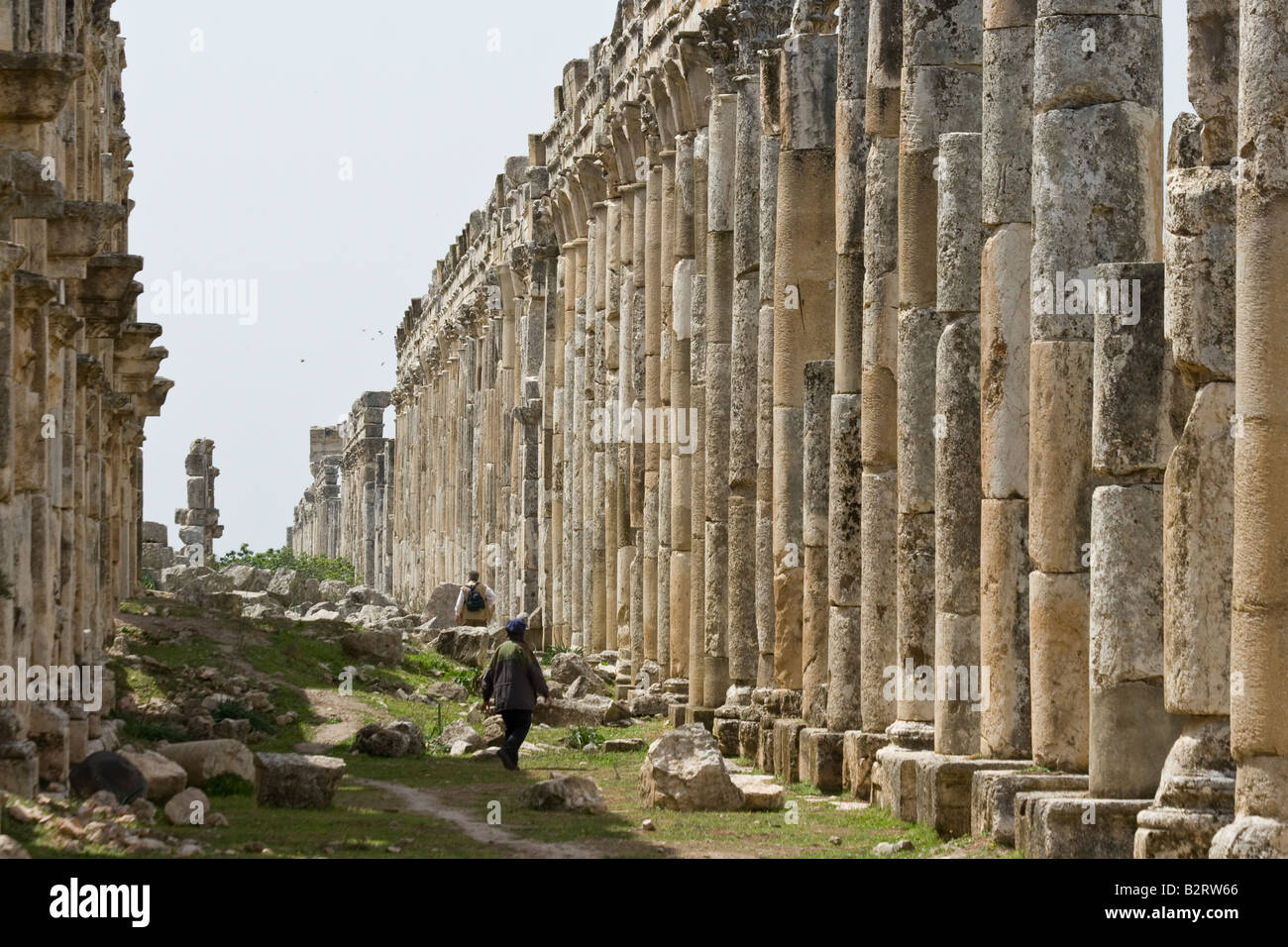 Rovine romane di Apamea in Siria Foto Stock
