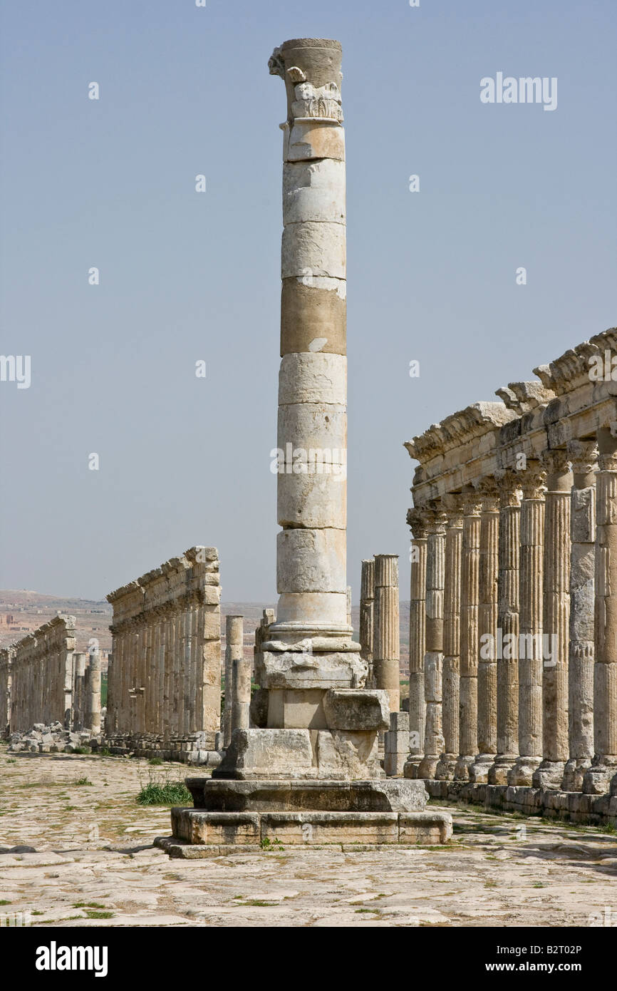 Colonna monumentale e porticato presso le rovine Romane di Apamea in Siria Foto Stock