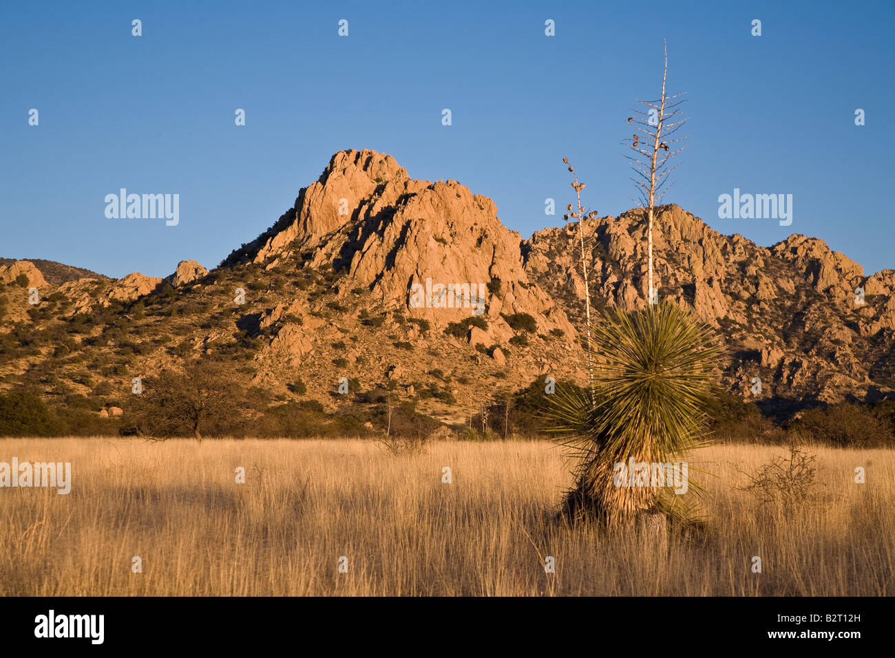 Guardando ad est verso la Cina picco, Foresta Nazionale di Coronado, Cochise County, Arizona, Stati Uniti d'America Foto Stock