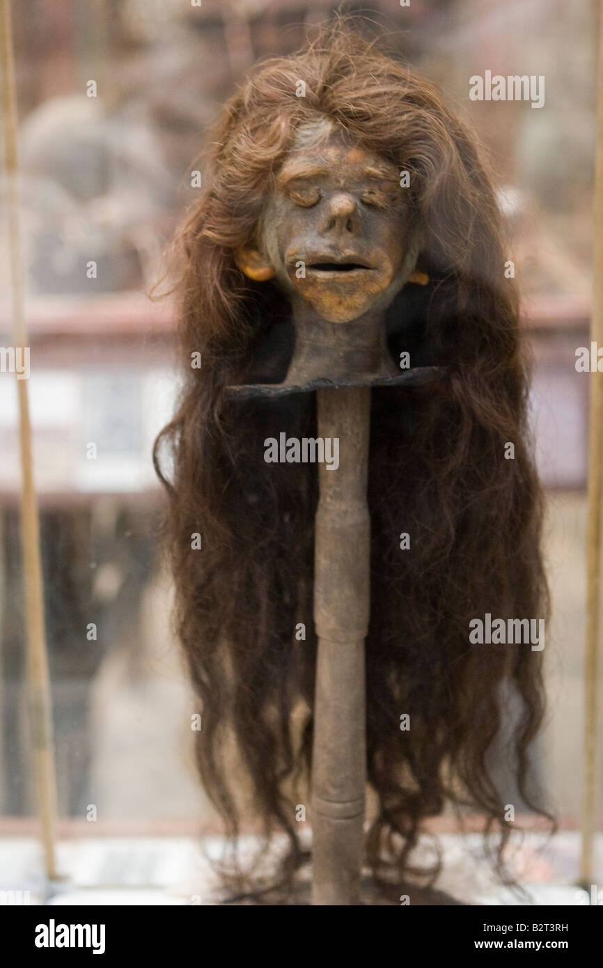 Testa ridotta di un Jibaro cultura indigena esposti nel museo Rocsen (Museo Polifacetico) nel nono, Cordoba, Argentina Foto Stock