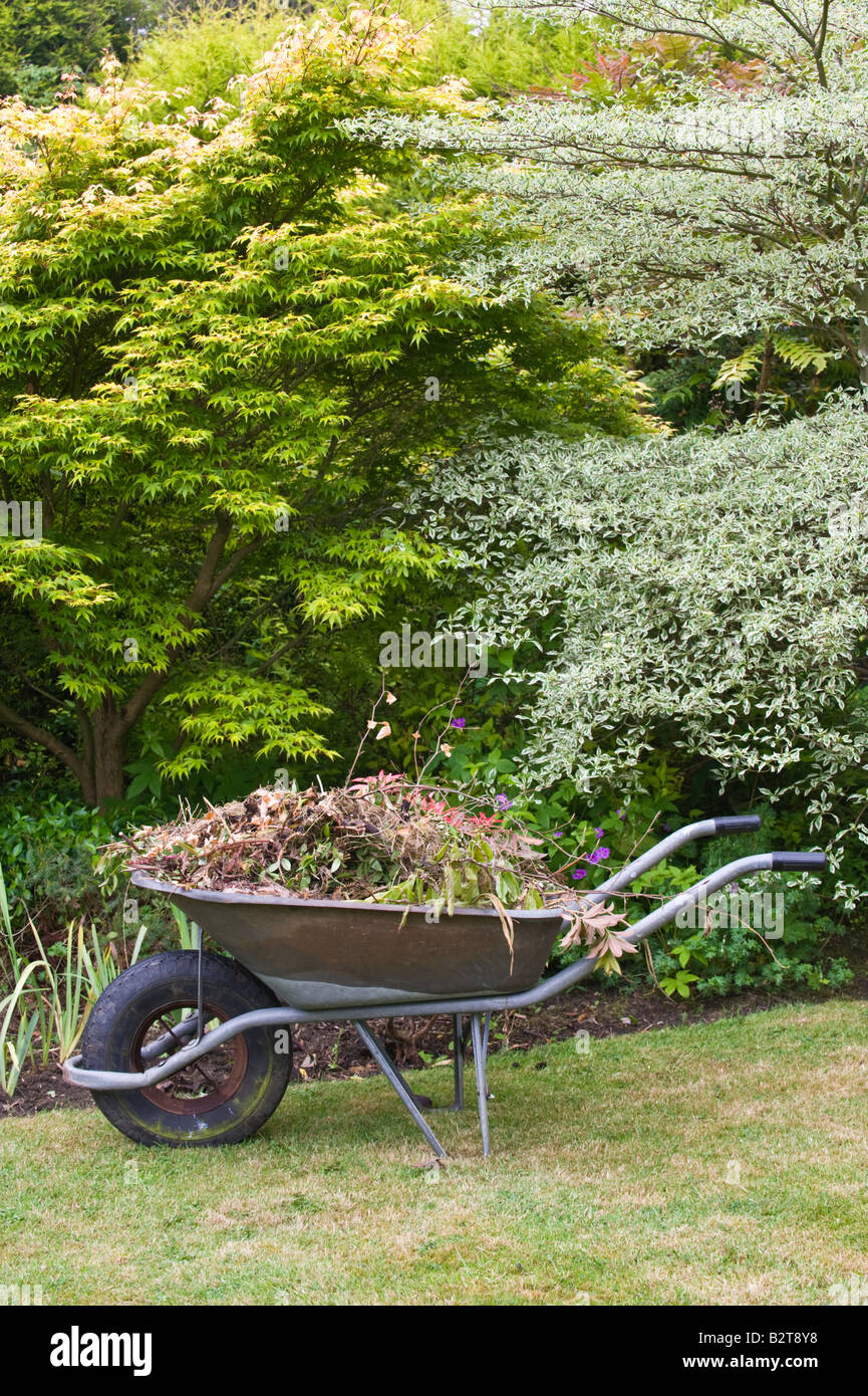 Conservazione, riciclaggio ripulito dalle erbacce piante raccolte in carriola pronto per il compostaggio giardino Adel Leeds West Yorkshire Giugno Foto Stock