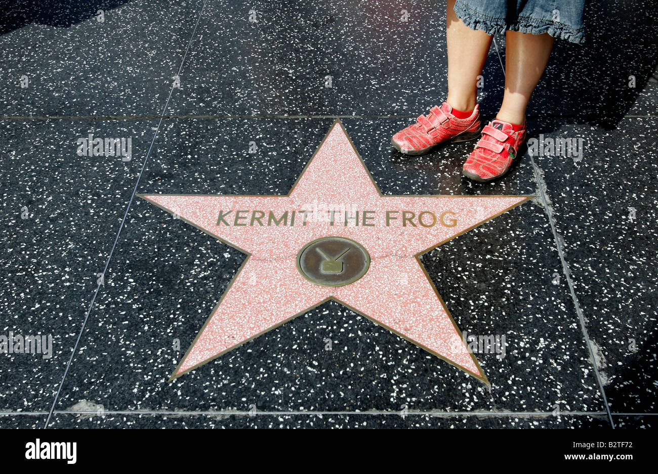 Noi di LOS ANGELES la stella di Kermit la rana su Hollywood Boulevard foto GERRIT DE HEUS Foto Stock