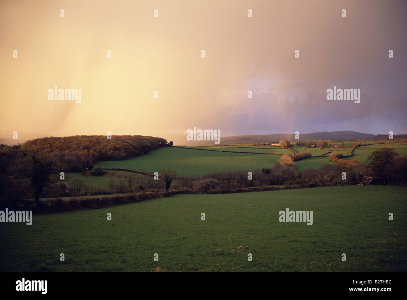 Meteo anteriore nella molla su Dartmoor Devon, Inghilterra Foto Stock