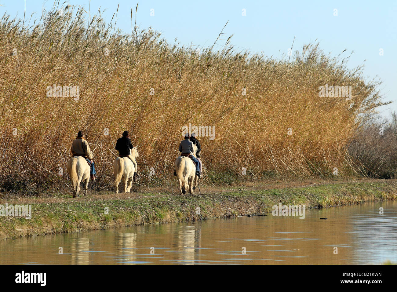 Trekking a cavallo, Gallicianò, Gard, Languedoc-Roussillon, Francia Foto Stock