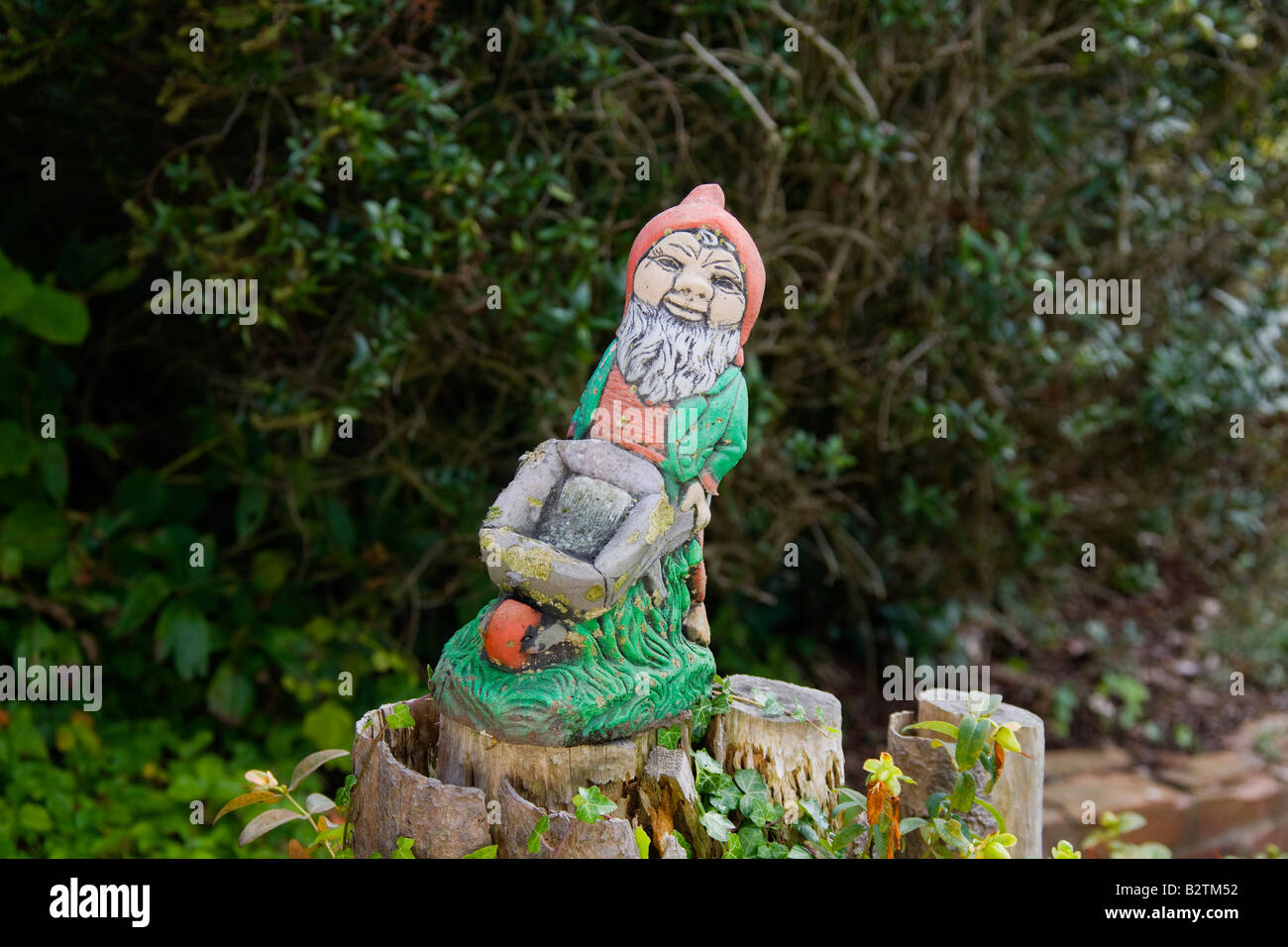 Uno gnomo da giardino spingendo una ruota barrow in un giardino di Essex Foto Stock