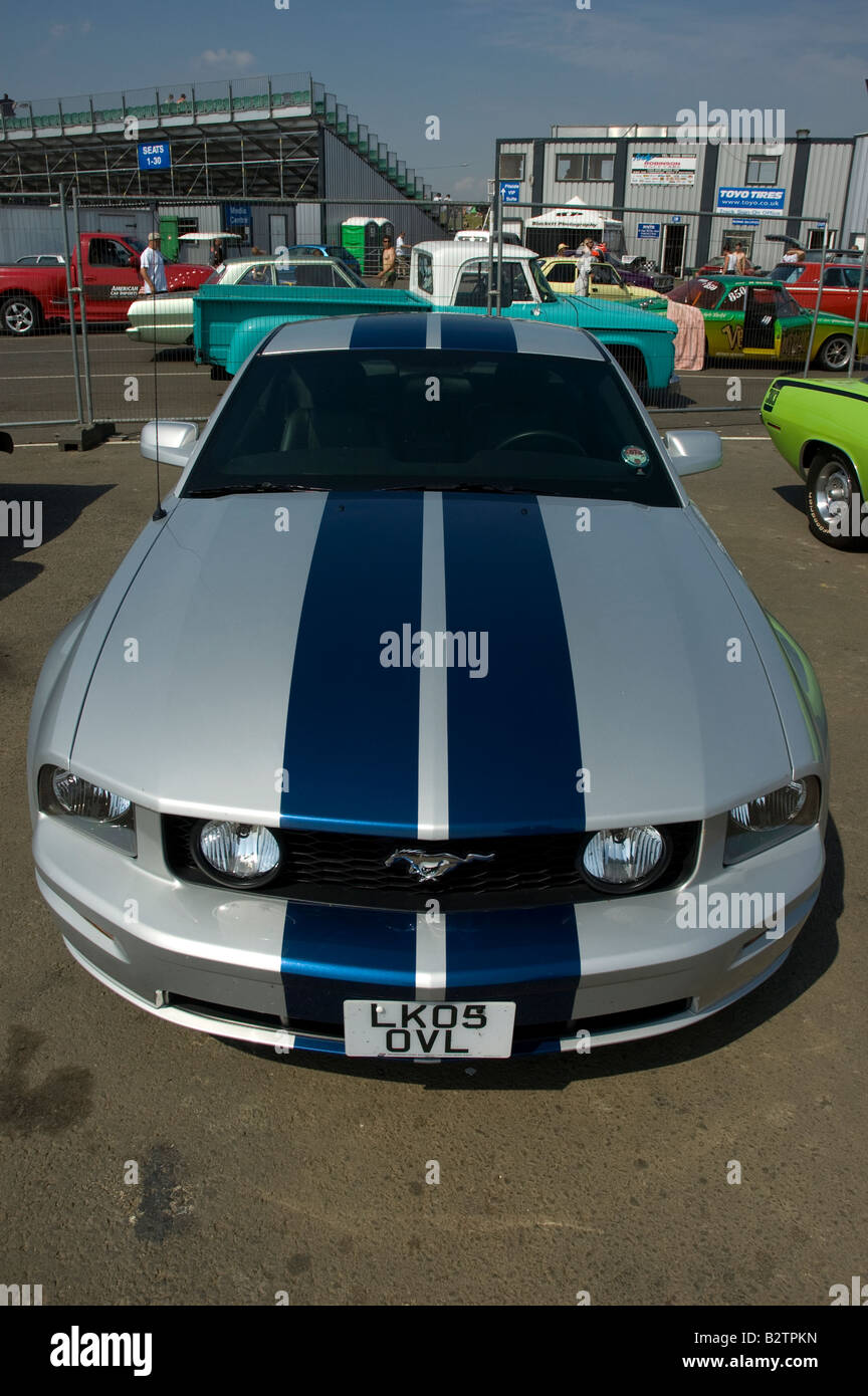mustang argento Foto Stock