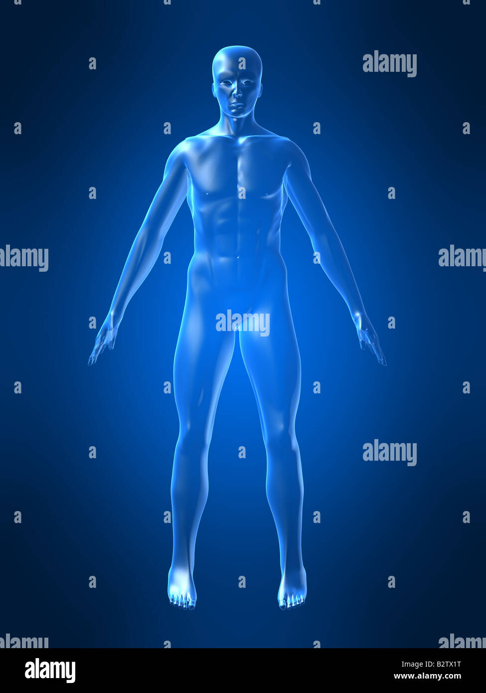 corpo umano Foto Stock