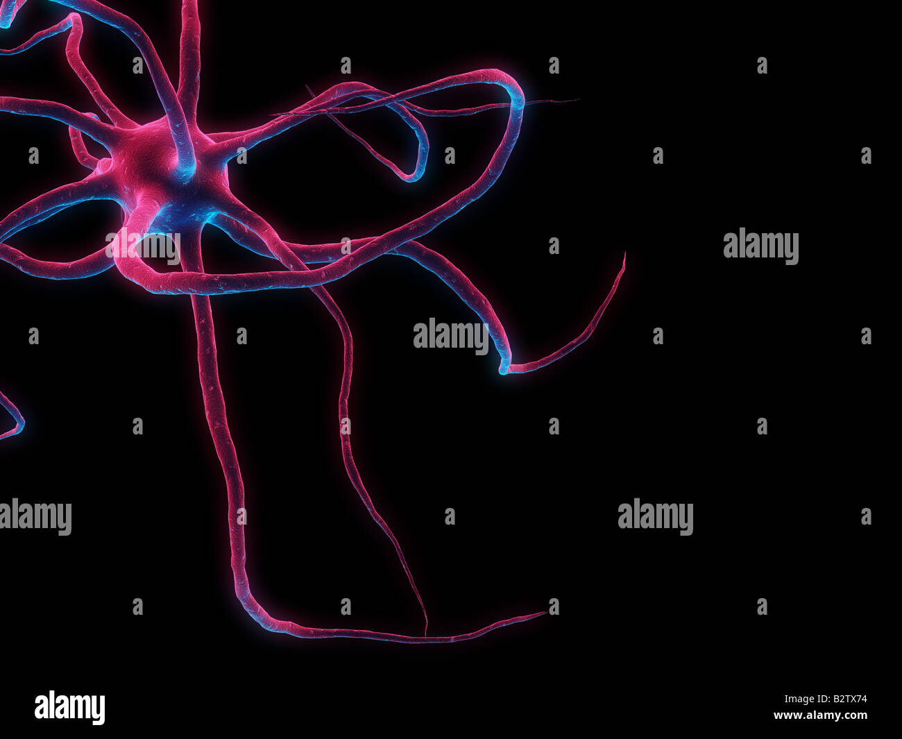 assone 3D Foto Stock