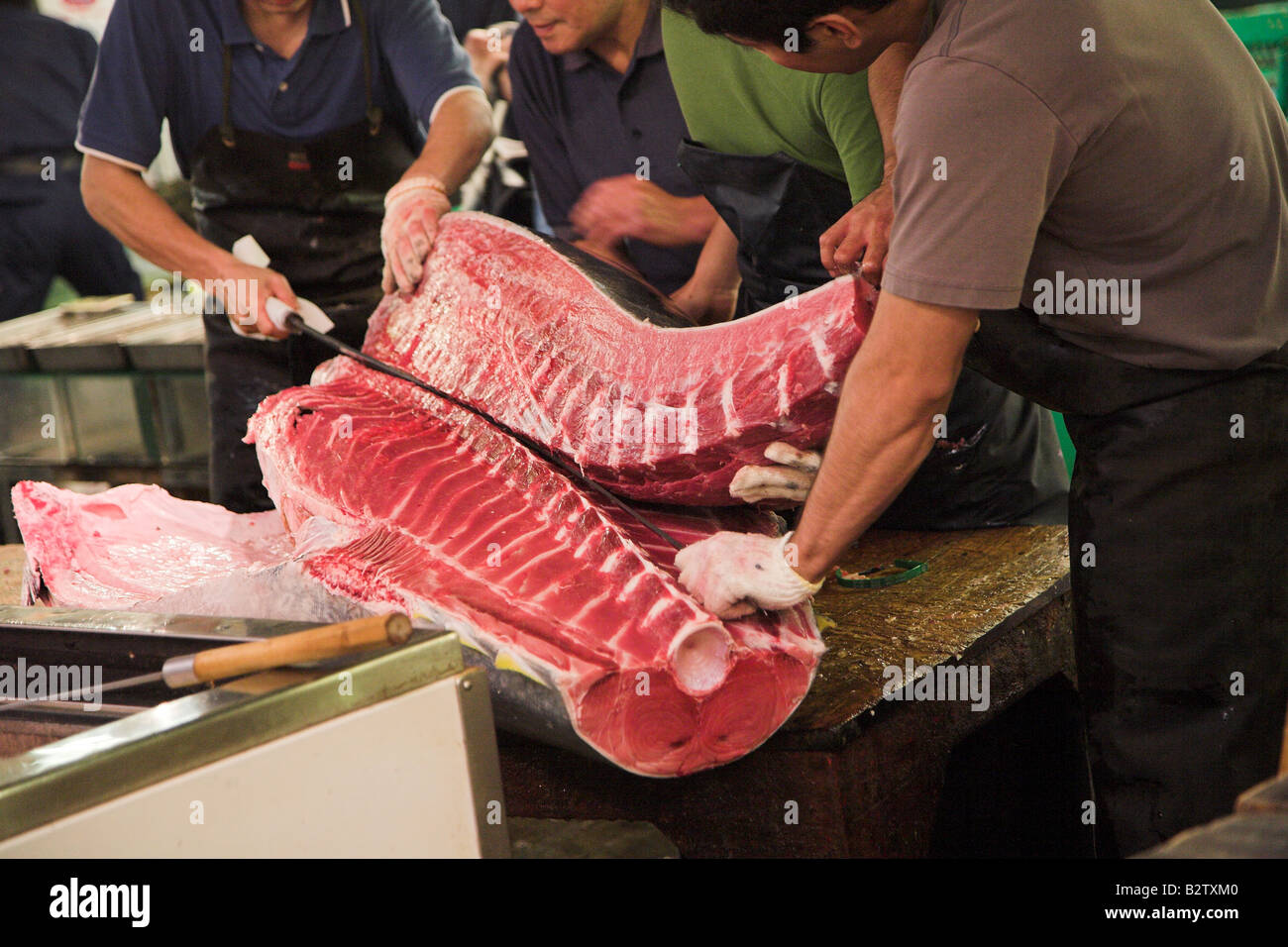 Giapponese dei lavoratori la preparazione di tonno congelato presso la mattina presto il mercato del pesce di Tsukiji a Tokyo. Foto Stock
