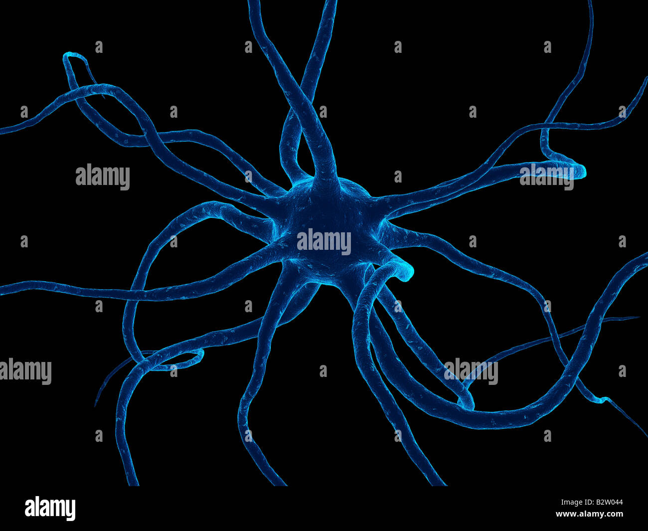 delle cellule del neurone Foto Stock