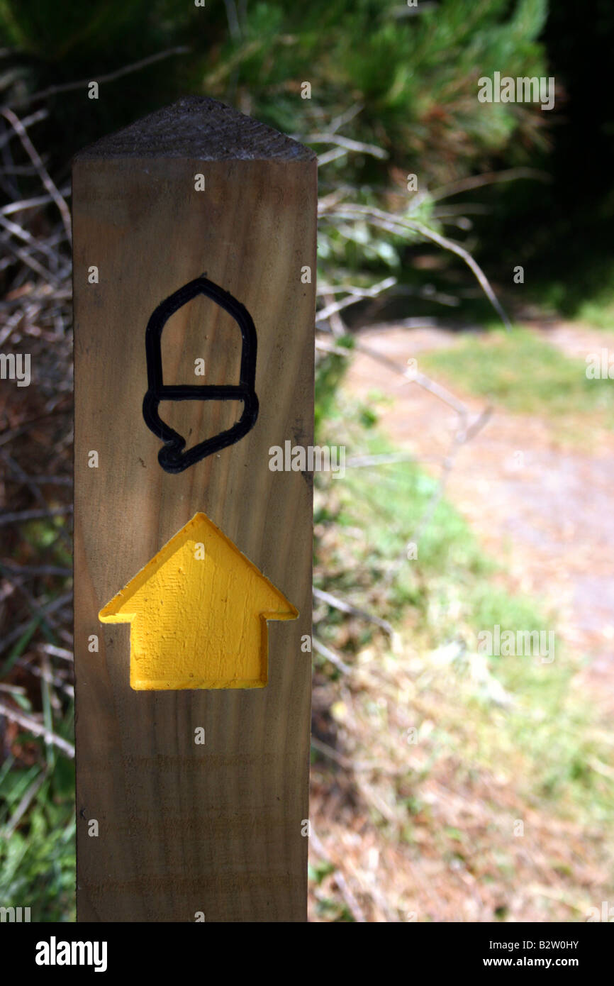 Seguire le indicazioni per sentiero natura a Slapton Sands, Devon, Inghilterra Foto Stock