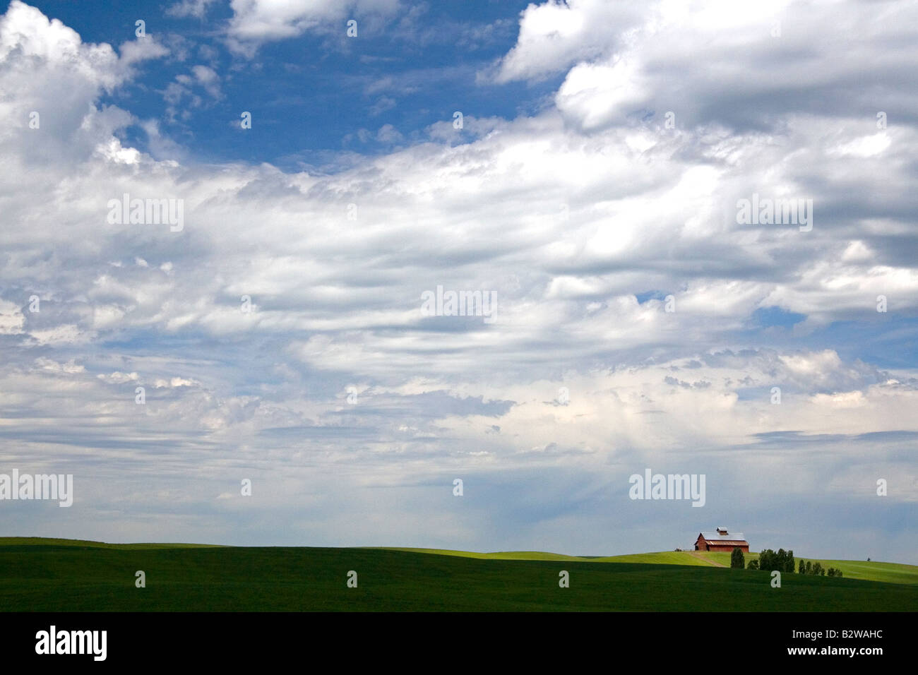 Terreni agricoli vicino Nezperce Idaho Foto Stock
