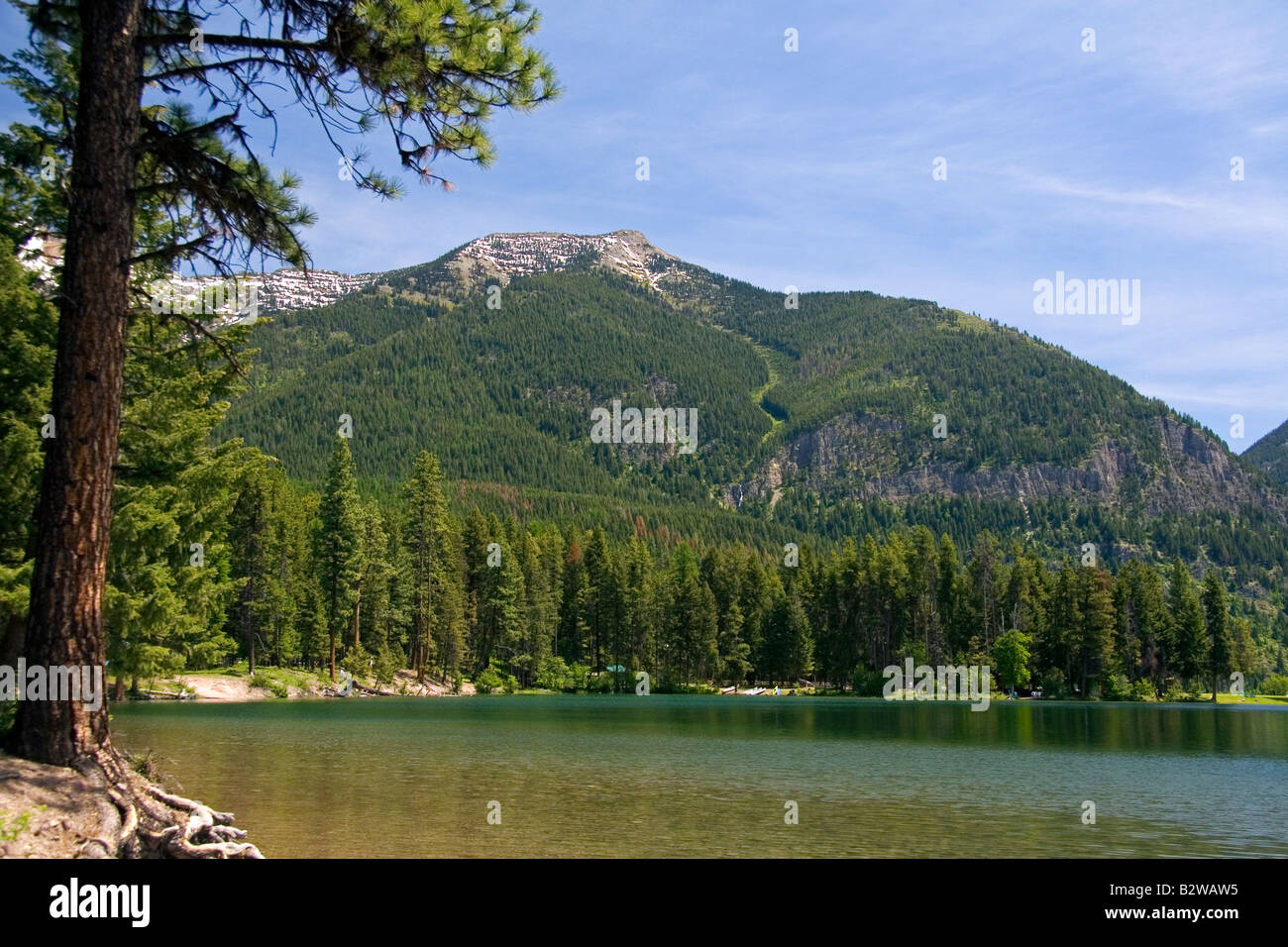 Holland Lago di Flathead National Forest vicino Condon Montana Foto Stock
