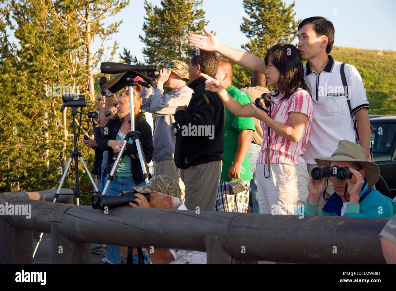 La folla di turisti visualizzare la fauna selvatica nel parco nazionale di Yellowstone Wyoming Foto Stock