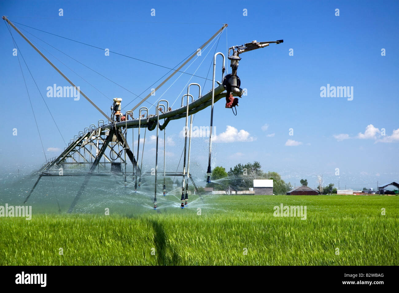Irrigazione a perno di un verde campo di grano vicino a St Anthony Idaho Foto Stock