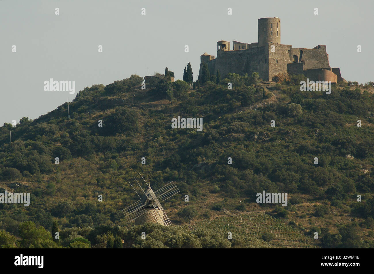 Una piccola collina del castello nell'affascinante villaggio di pescatori di Collioure (sud della Francia) Foto Stock