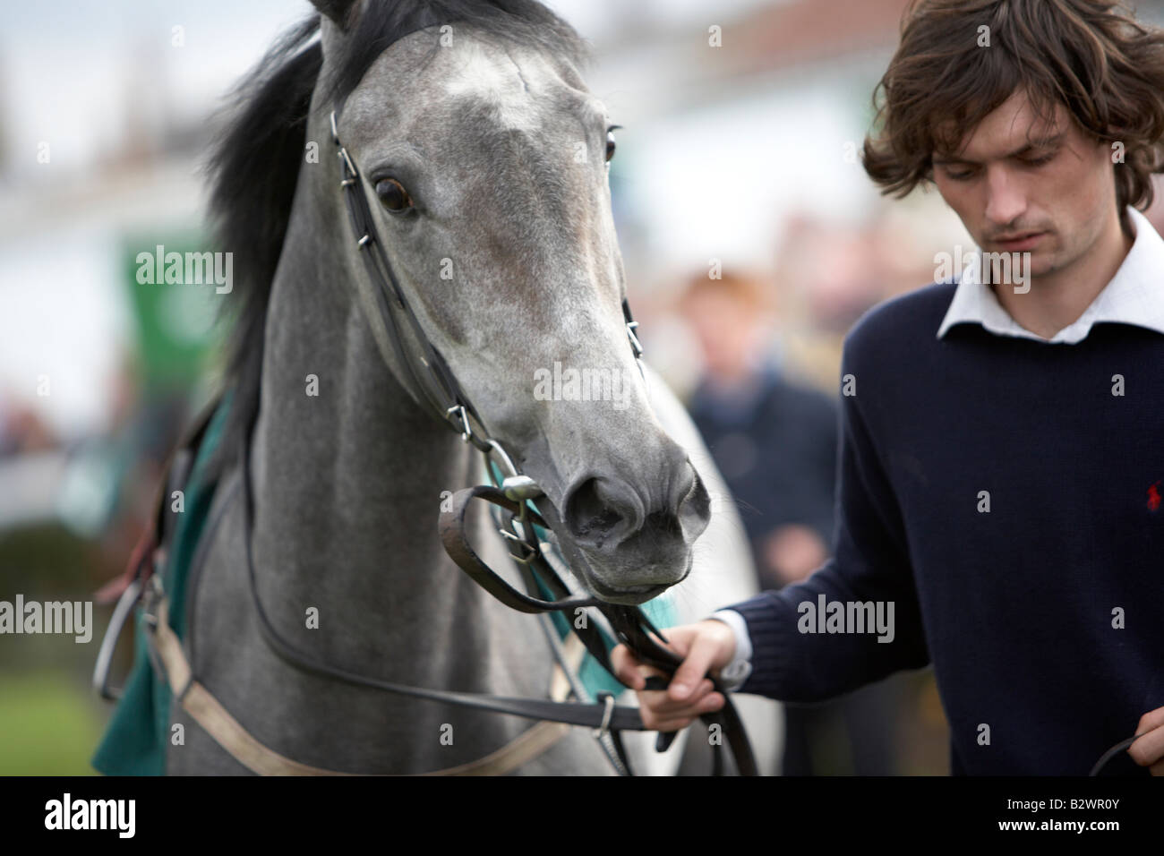 Cavallo e il gestore nella Parade Ring a Yarmouth Race Track, INGHILTERRA Foto Stock