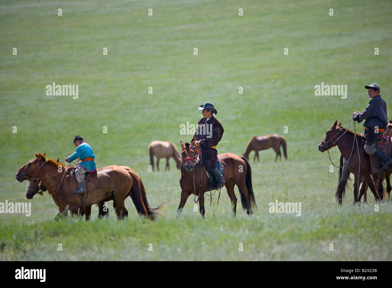 Famiglia nomade imbrancandosi cavalli selvaggi Foto Stock