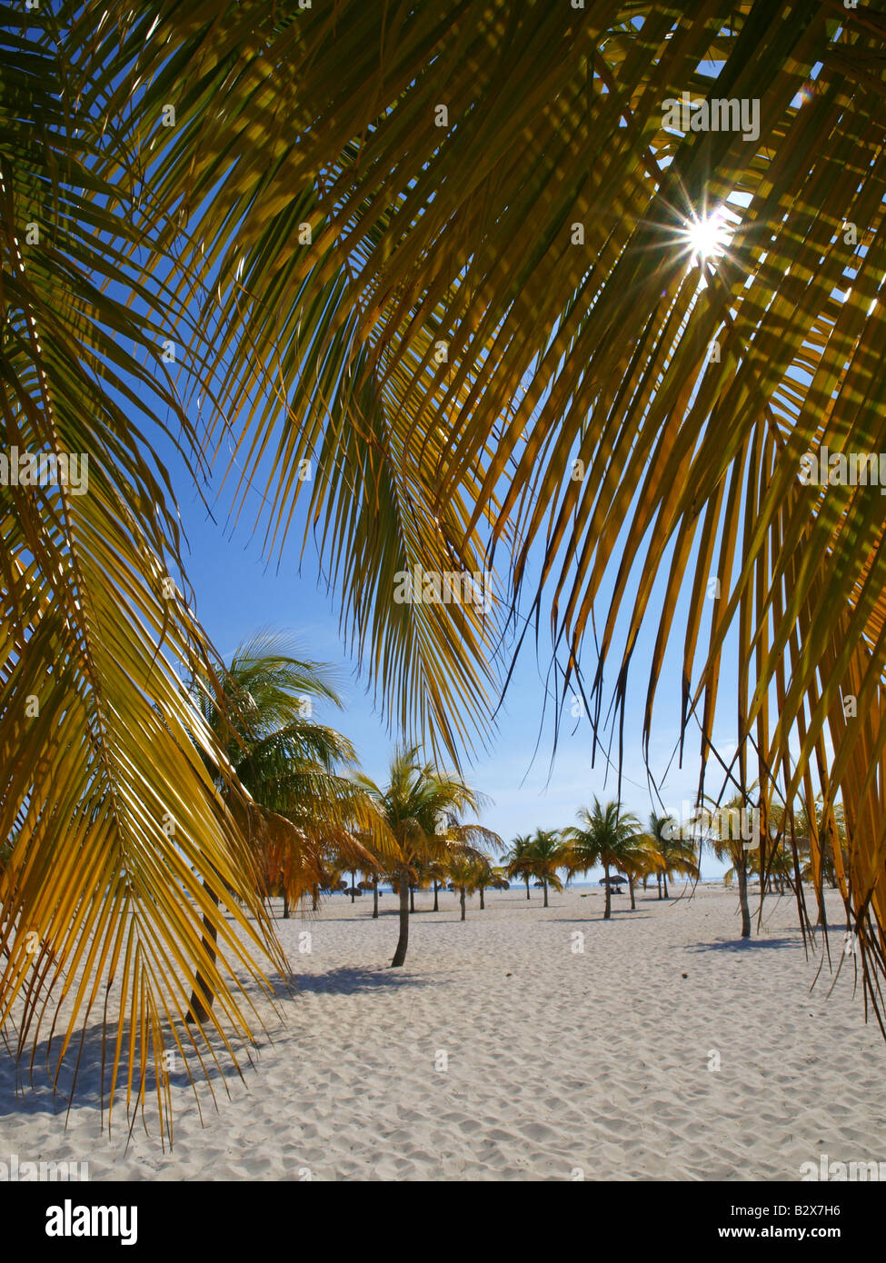 Cayo Largo del Sur, località turistica Foto Stock