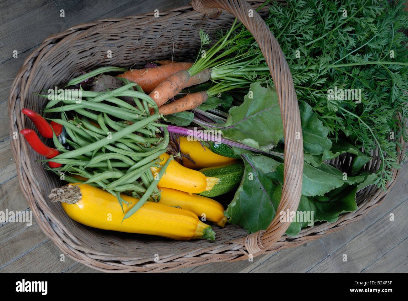 Foto di stock di un cesto di vimini pieno di appena raccolto di ortaggi Foto Stock